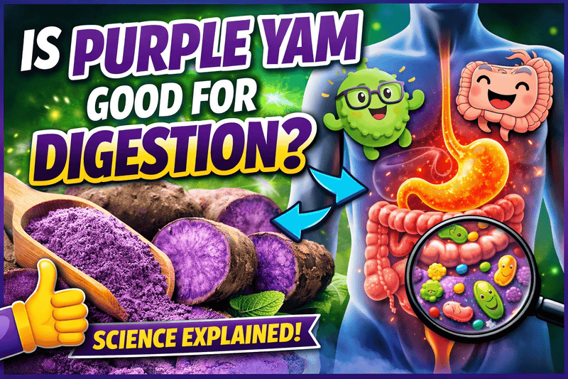 Purple Yam Digestion