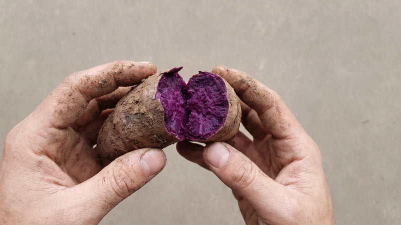 Grown by local farmers
